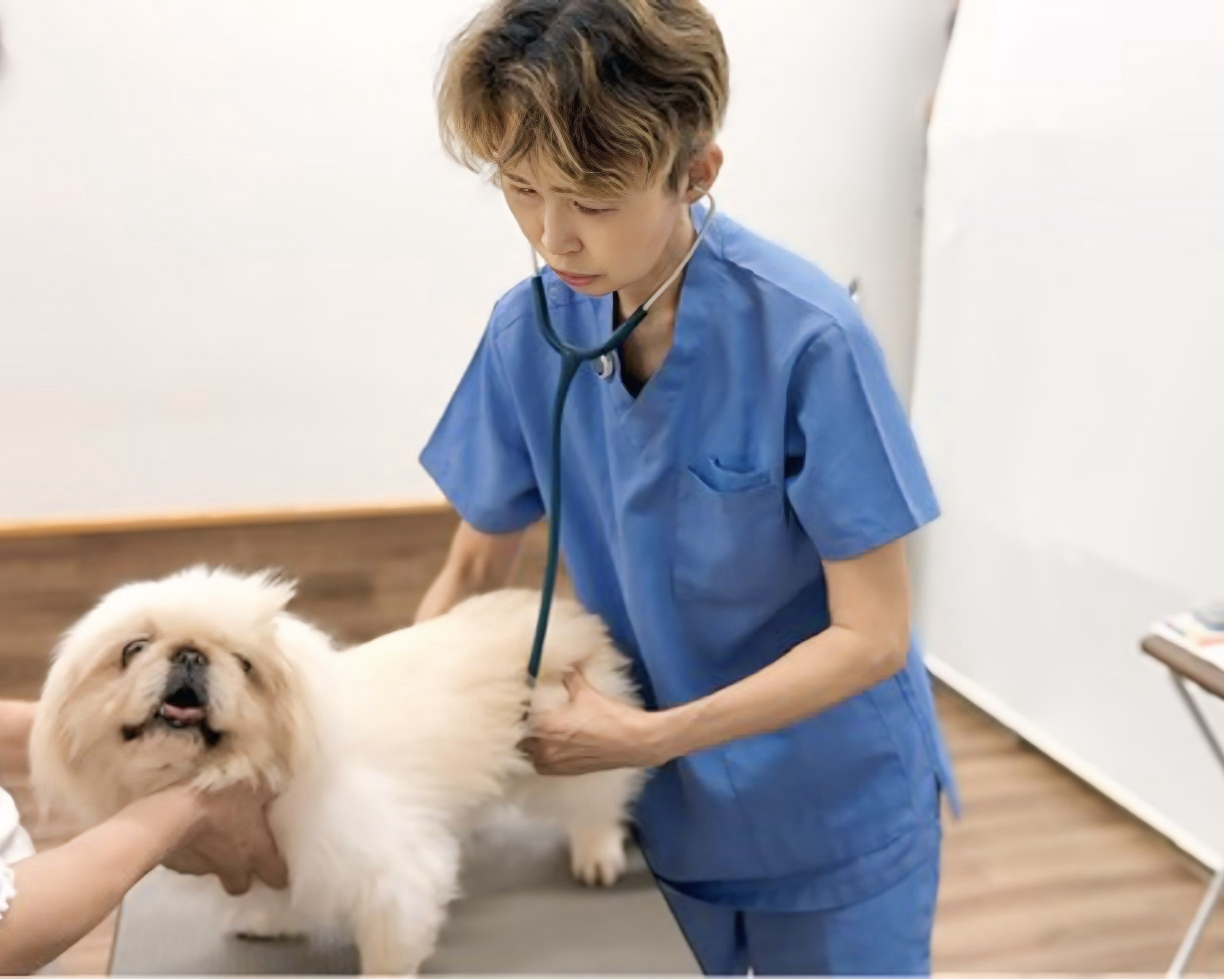 カウンセリング